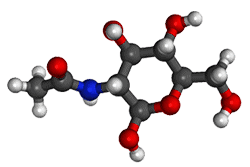 Acetil glukozamin