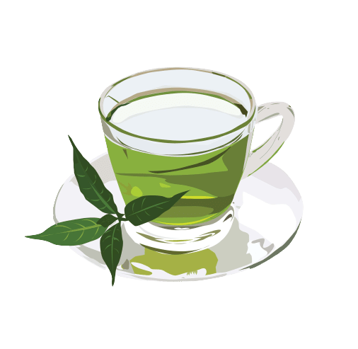 Zeleni čaj vsebuje katehine
